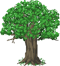 Tree.png